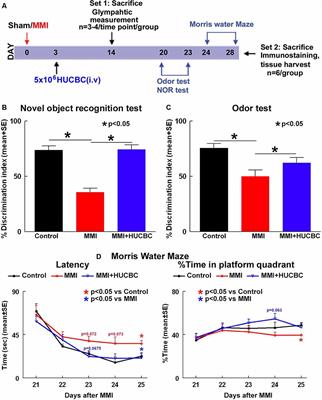 HUCBC Treatment Improves Cognitive Outcome in Rats With Vascular Dementia